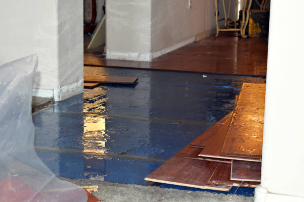 Professional Burst Pipe Cleanup technician working in Marshall, VA